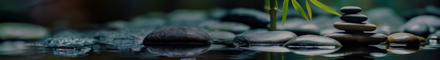 collection-banner-image